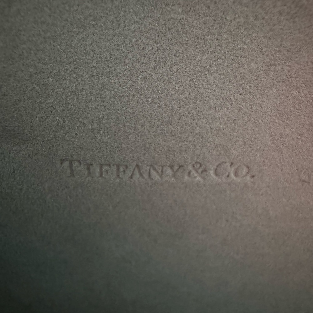 Tiffany & Co. Translucent Gray Eyewear - Picture 8 of 15